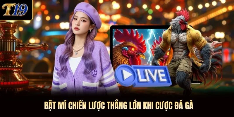 Bật mí chiến lược thắng lớn khi cược đá gà Bật mí chiến lược thắng lớn khi cược đá gà