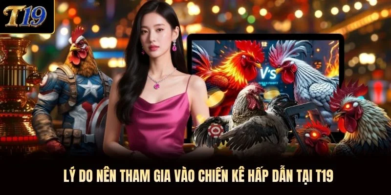 Lý do nên tham gia vào chiến kê hấp dẫn tại T19 Lý do nên tham gia vào chiến kê hấp dẫn tại T19