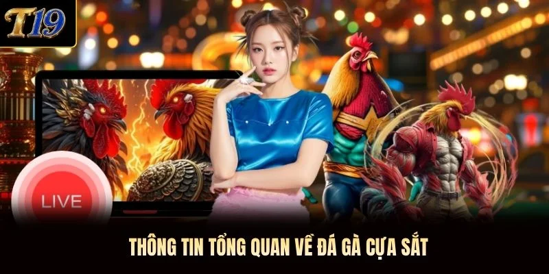 Thông tin tổng quan về đá gà cựa sắt Thông tin tổng quan về đá gà cựa sắt