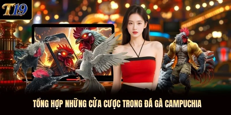 Tổng hợp những cửa cược trong đá gà campuchia Tổng hợp những cửa cược trong đá gà campuchia